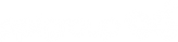 PPI Group